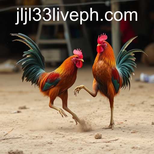 jljl33 live